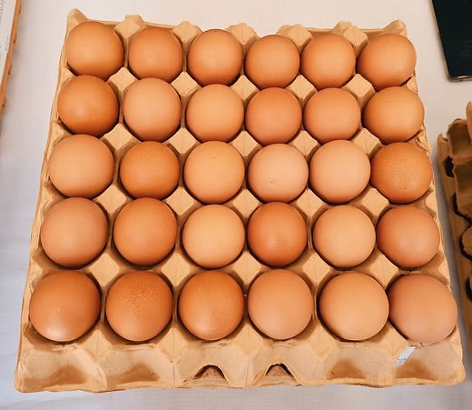 Barn Egg(Size 6, 30 Eggs Tray)