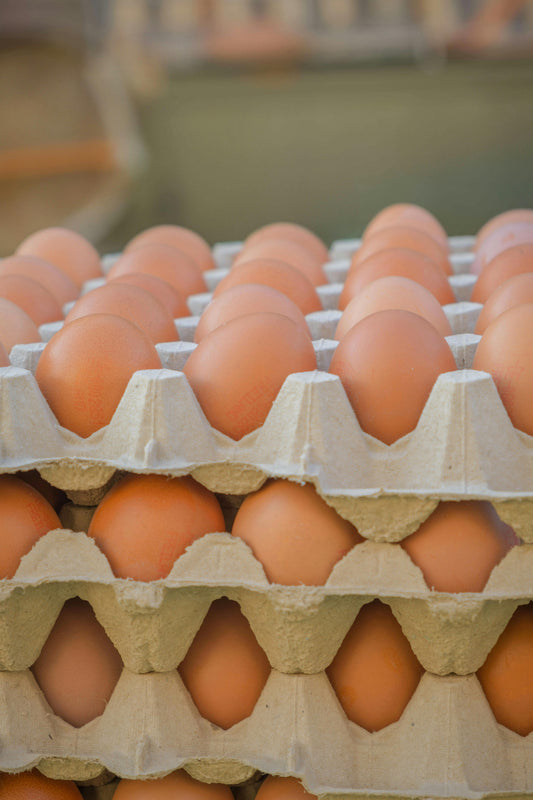 Colony Egg (Size 6, 30 Eggs Tray)
