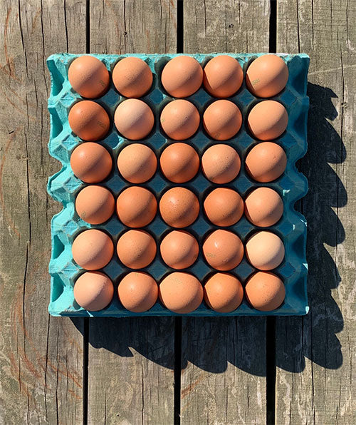 Free Range Eggs(Size 7, 180 Eggs box)