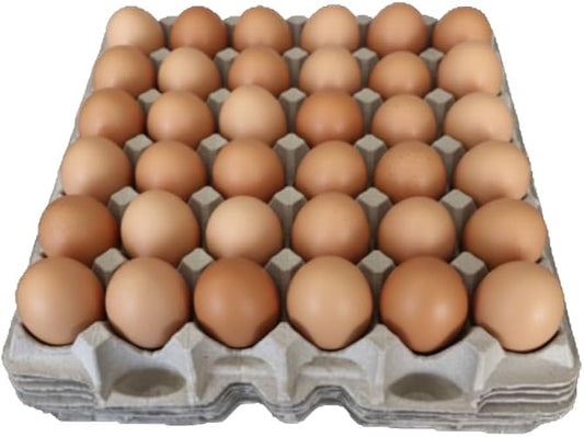 Colony Egg(Size 7, 30 Eggs Tray)
